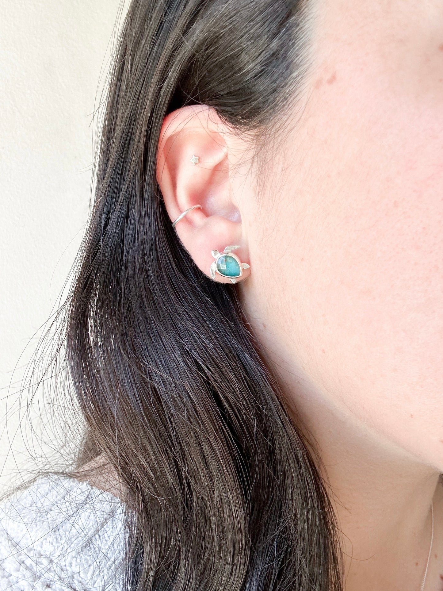 Aros Tortus bbs