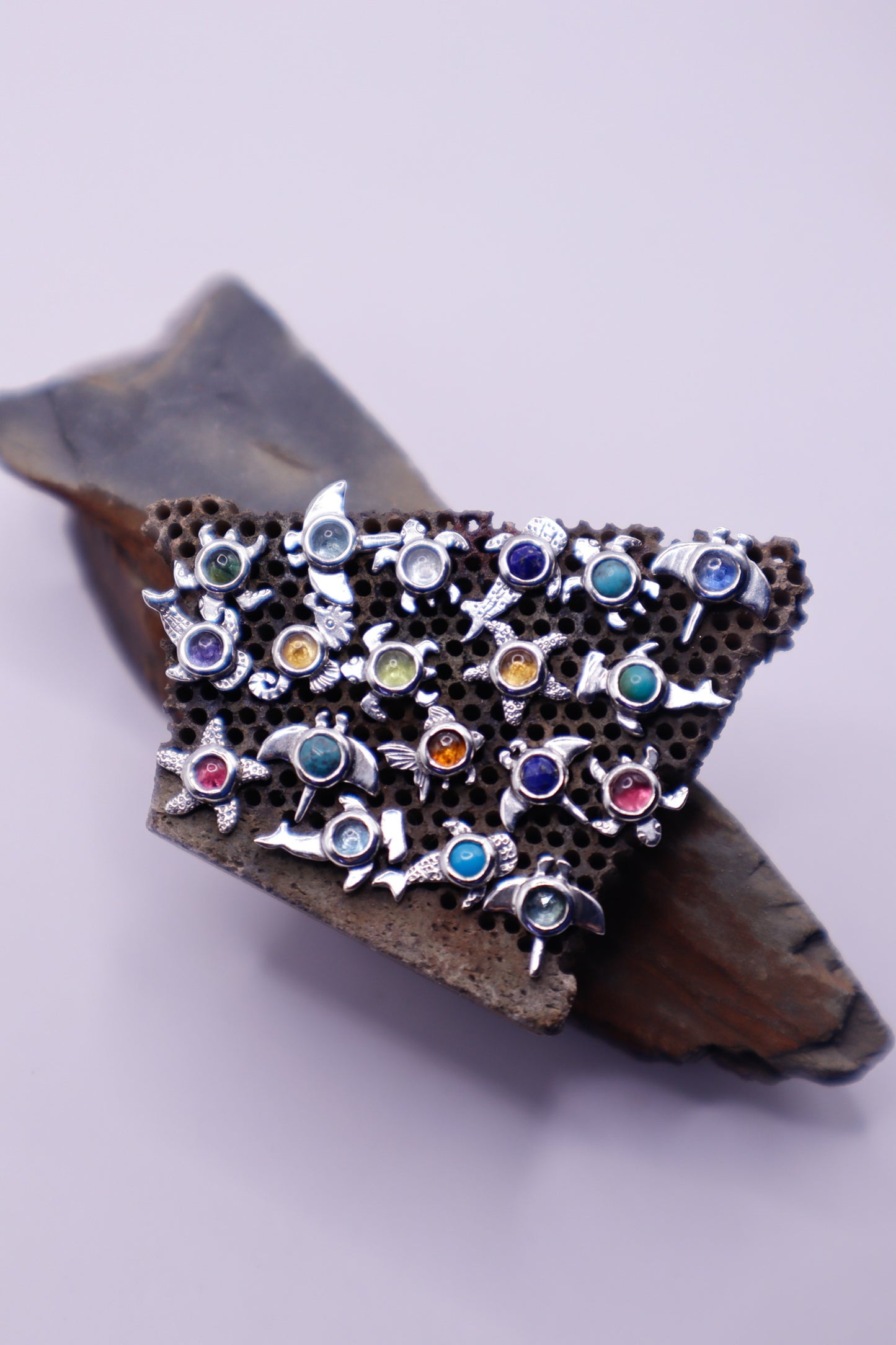 Arito Fauna Estrellas de Mar