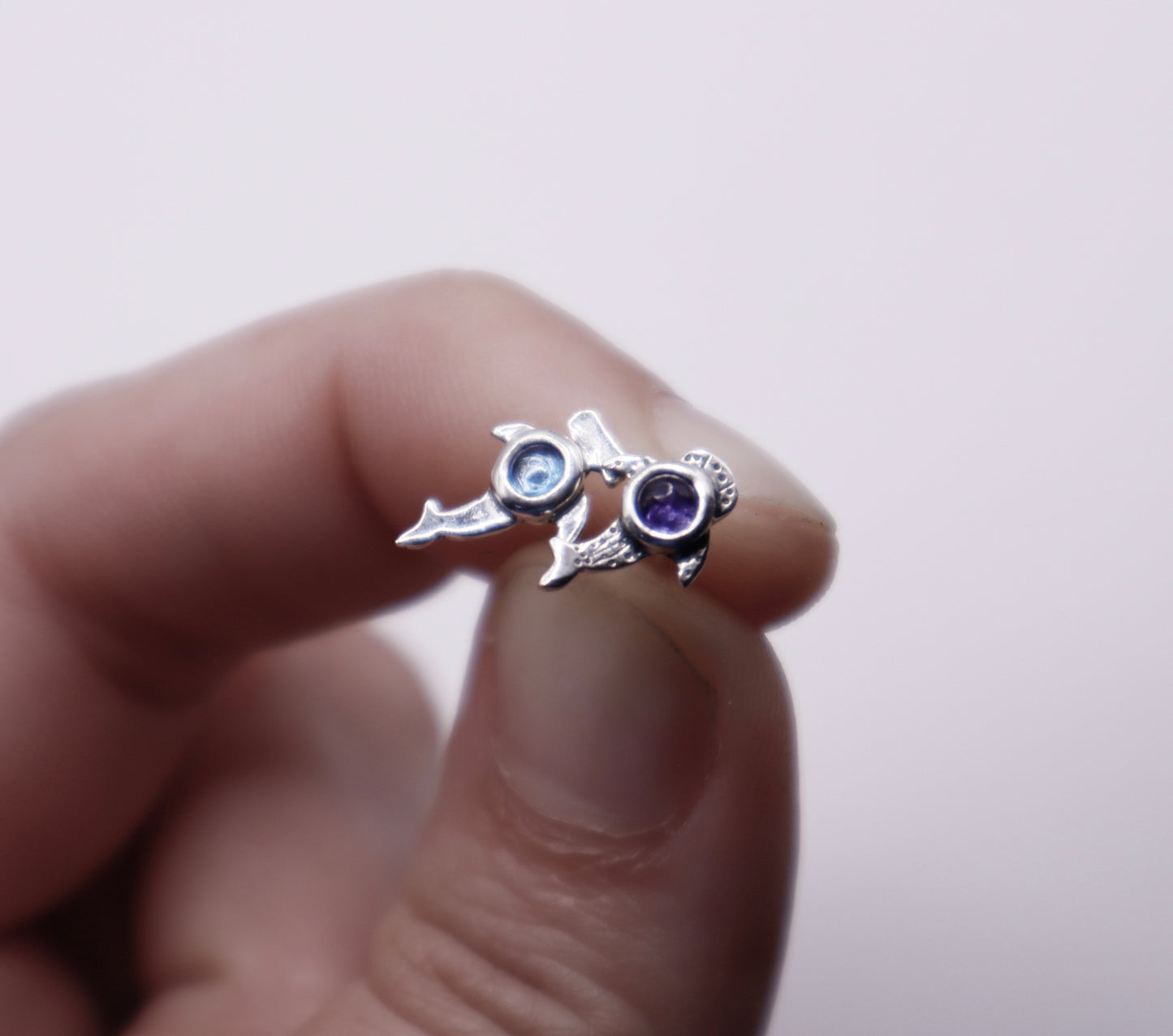 Arito Fauna Tiburoncin Ballena