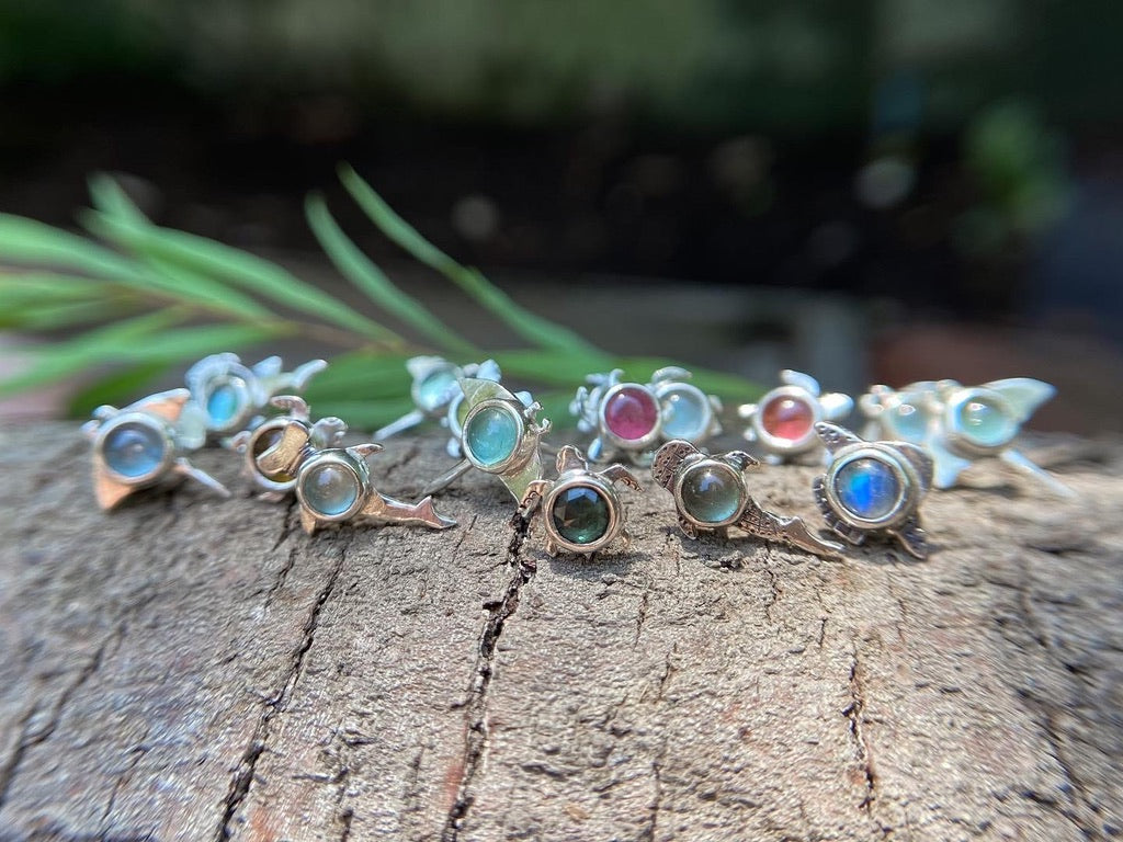 Arito Fauna Pez Luna