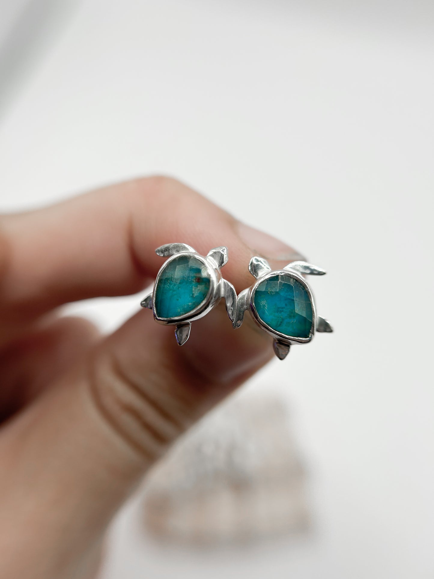 Aros Tortus bbs