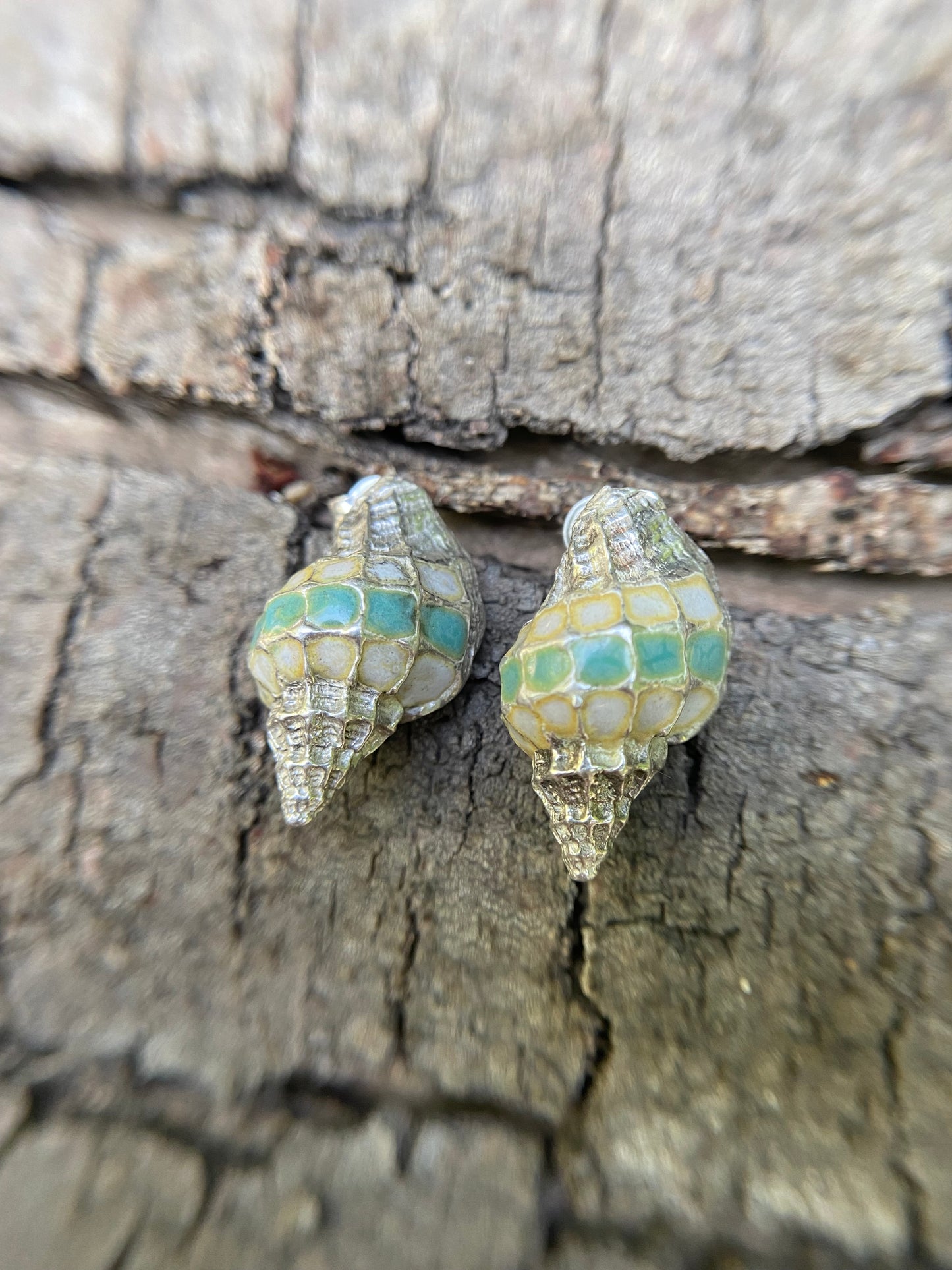Aros Caracola