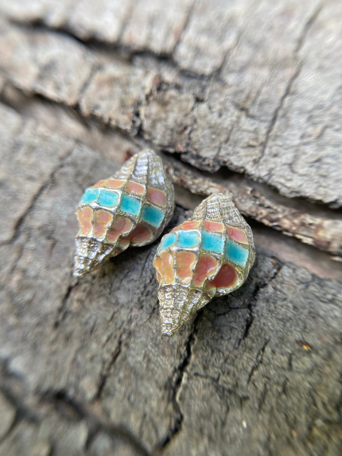 Aros Caracola