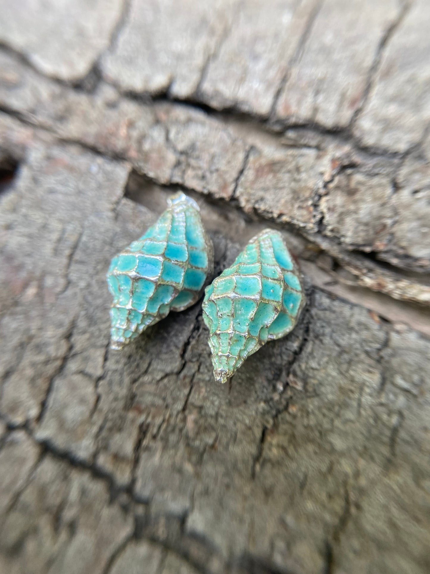 Aros Caracola