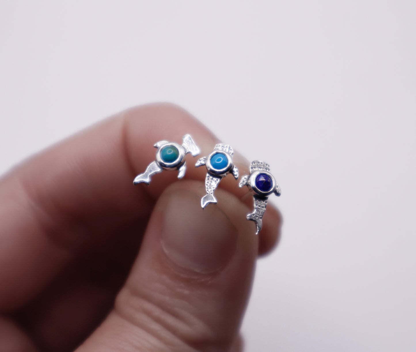 Arito Fauna Tiburoncin Ballena