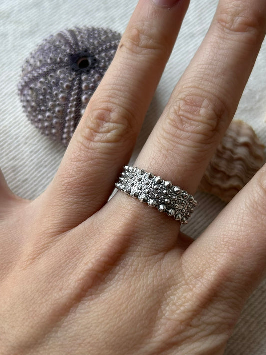 Anillo Hatuke
