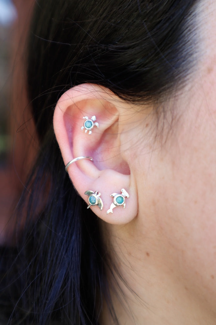 Arito Fauna Tiburoncin Martillo