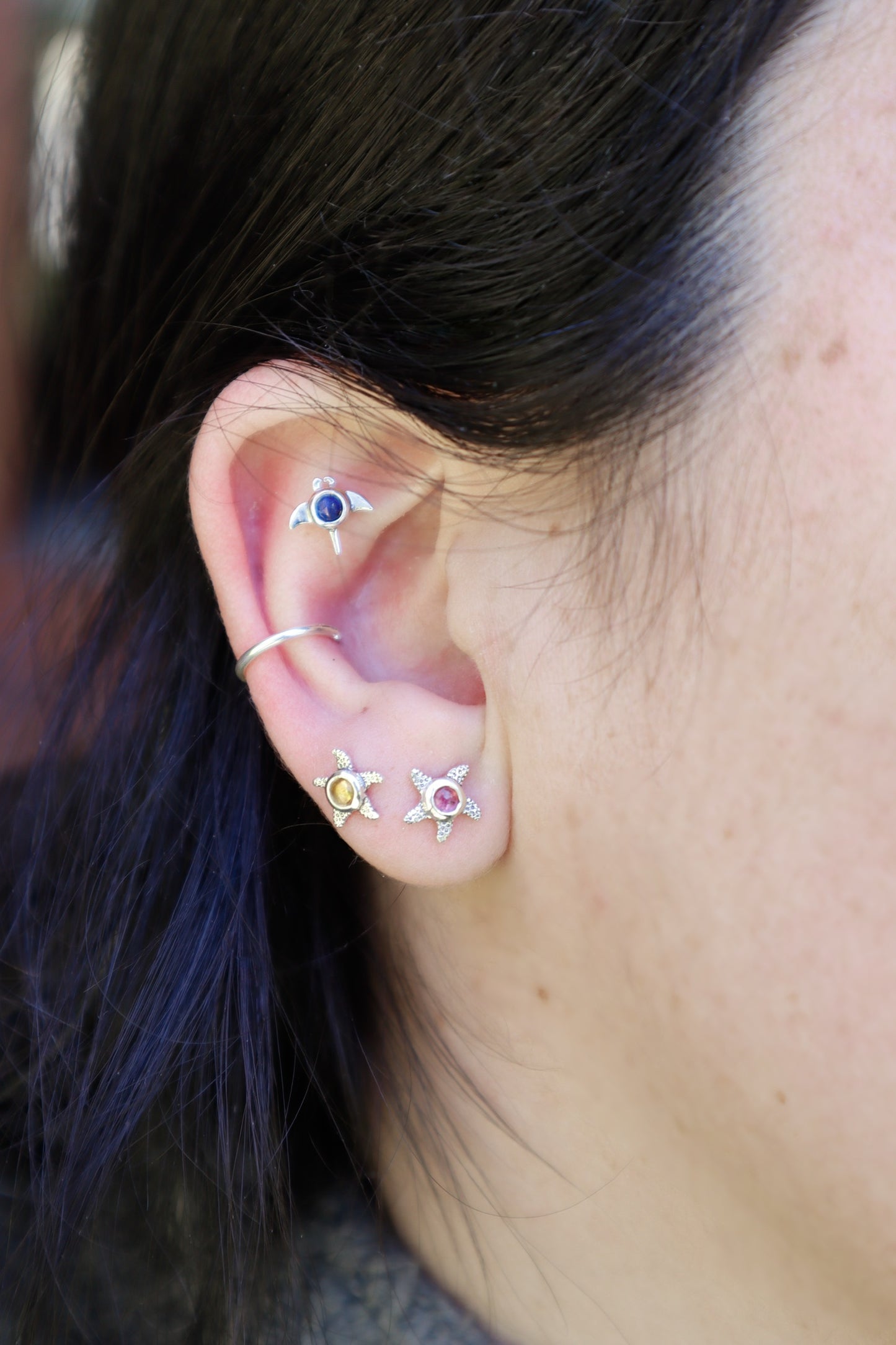 Arito Fauna Estrellas de Mar