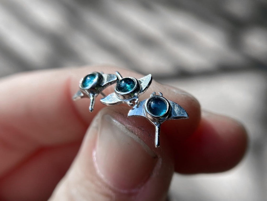 Arito Fauna Manta