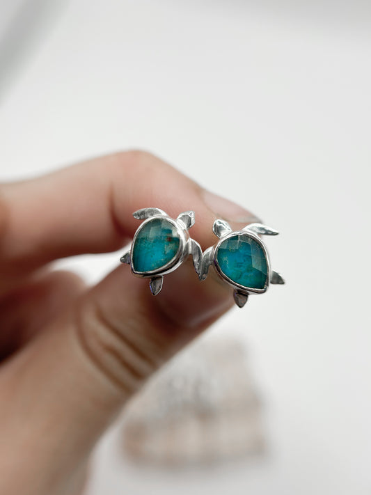 Aros Tortus bbs