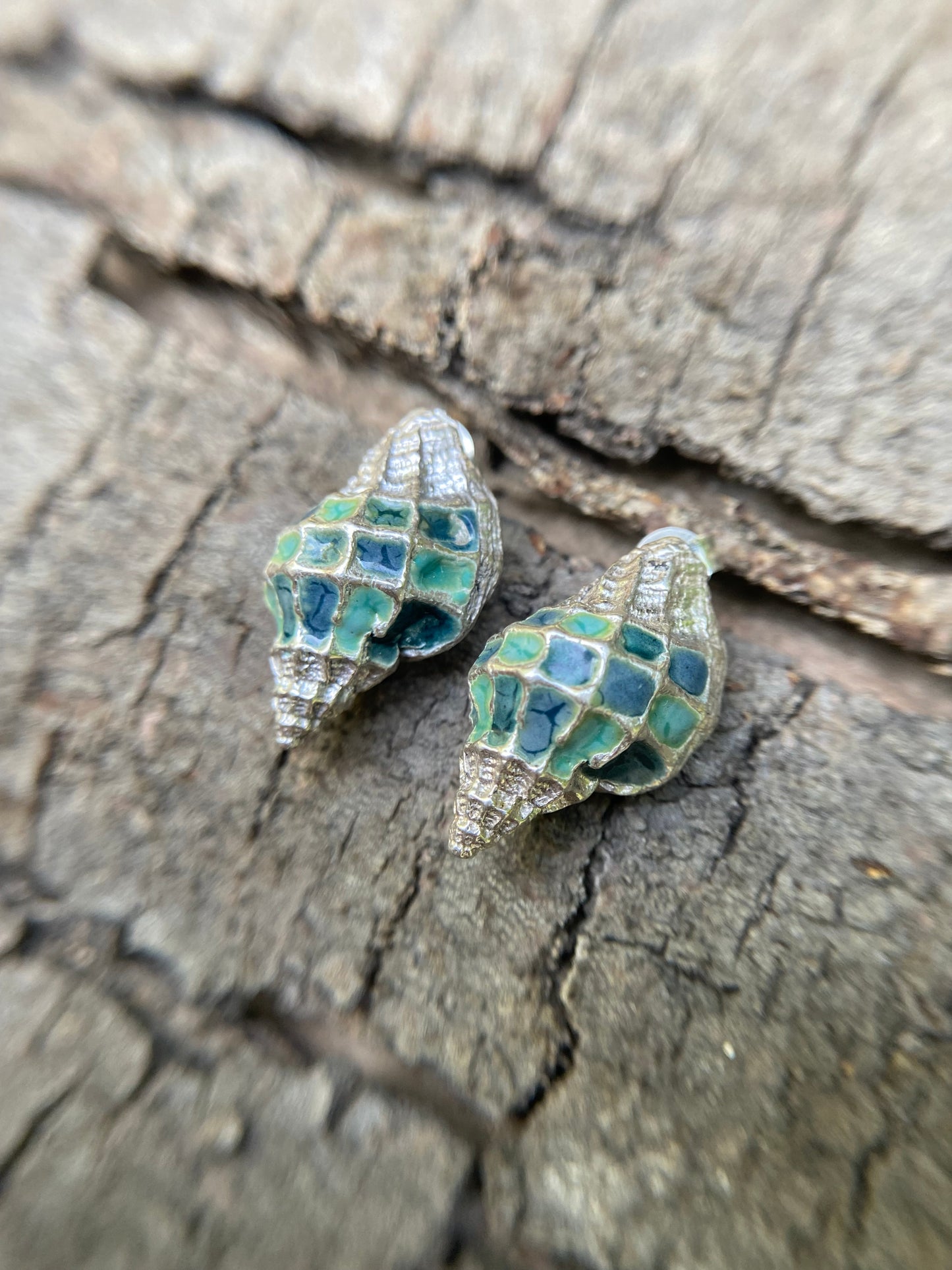 Aros Caracola