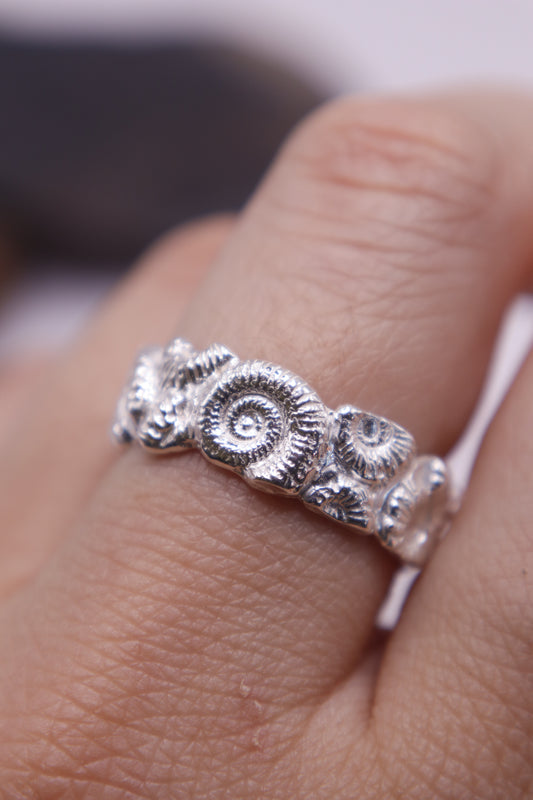 Anillo Mares Antiguos