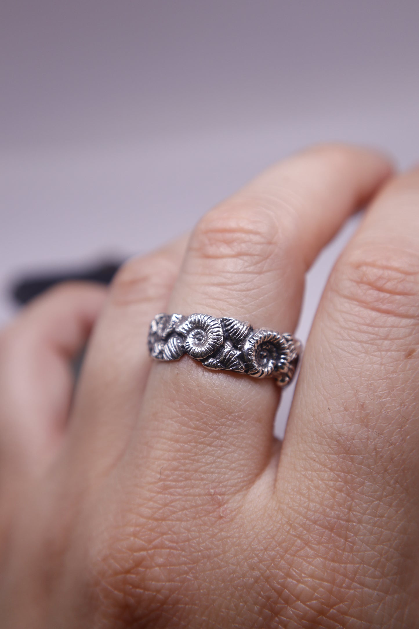 Anillo Mares Antiguos
