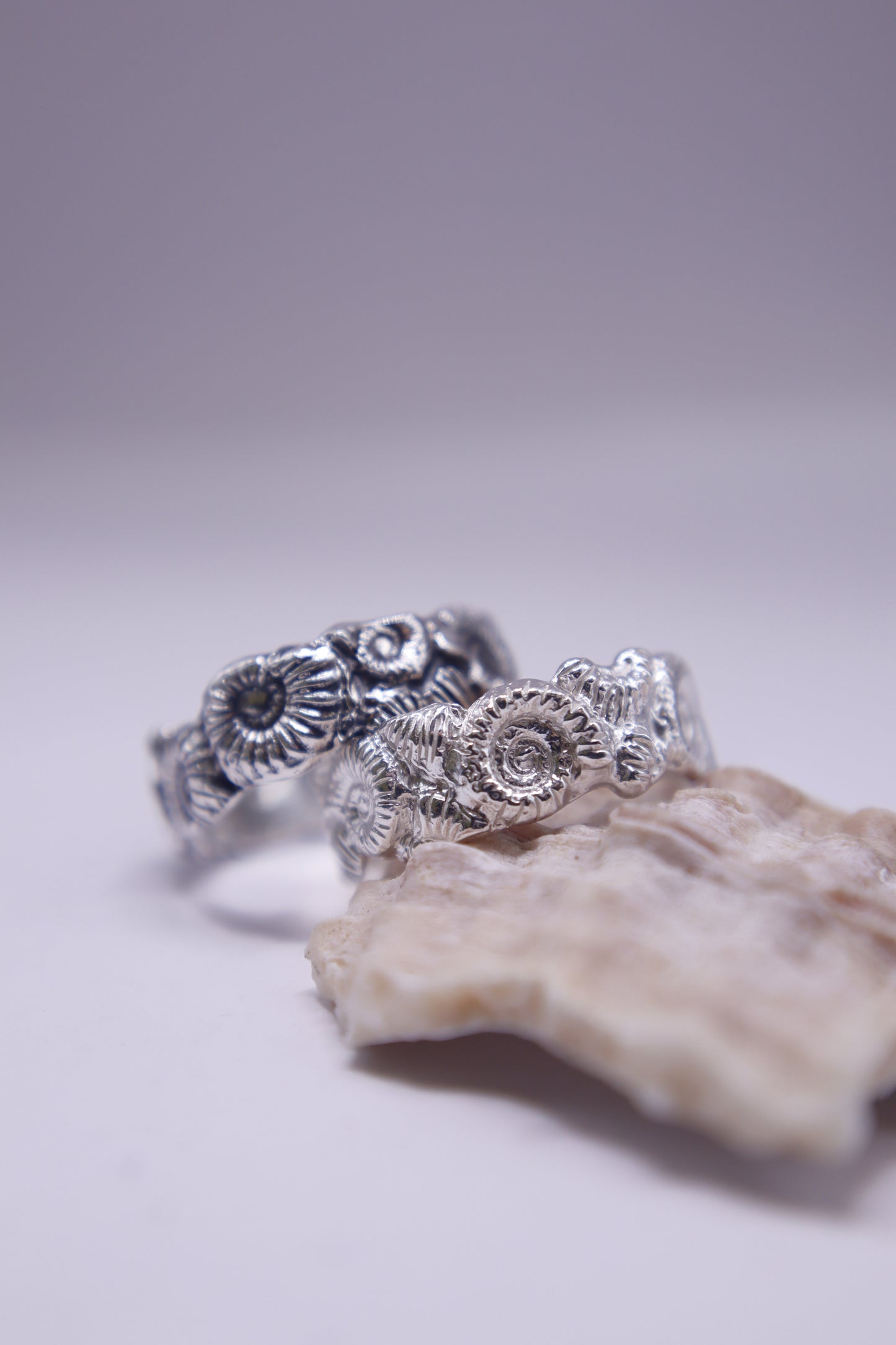 Anillo Mares Antiguos